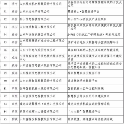 日照5家企業(yè)入選省級(jí)重點(diǎn)項(xiàng)目名單，引領(lǐng)網(wǎng)絡(luò)與信息安全軟件開發(fā)新浪潮