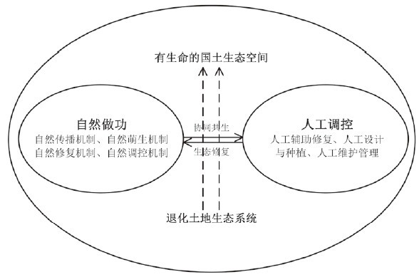 國土空間生態修復的技術范式 邁向系統化生態恢復的路徑