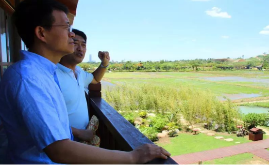 加強濕地生態治理 助推農業與旅游深度融合——張云華副部長一行調研水稻國家公園生態恢復工作